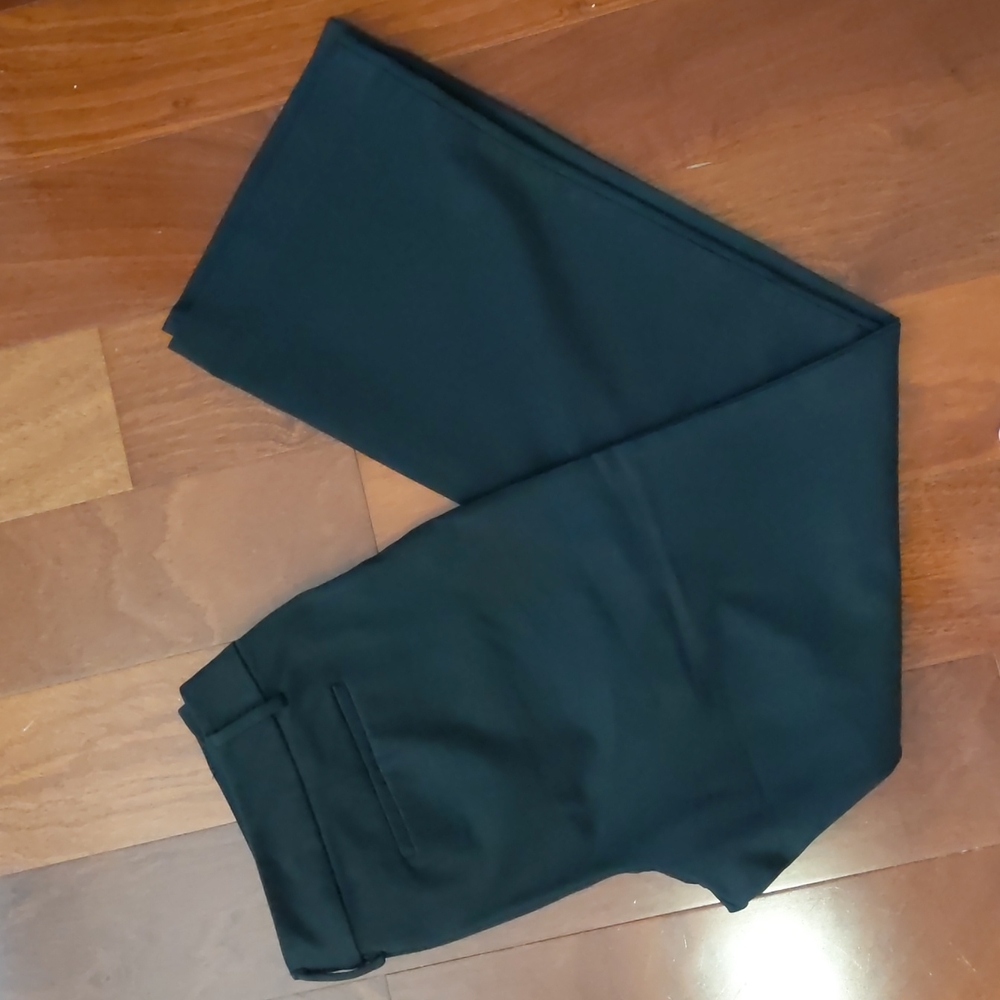 Ann Taylor Dress Pants Size 12 Modern Fit